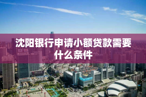 沈阳银行申请小额贷款需要什么条件 沈阳银行申请小额贷款需要什么条件