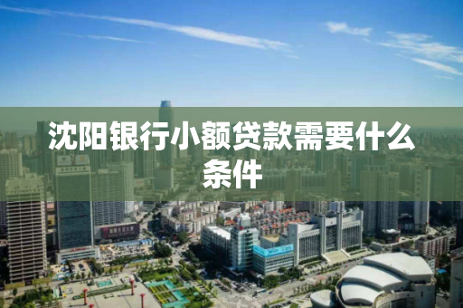 沈阳银行小额贷款需要什么条件 沈阳银行小额贷款需要什么条件