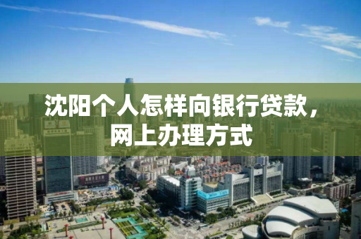 沈阳个人怎样向银行贷款，网上办理方式