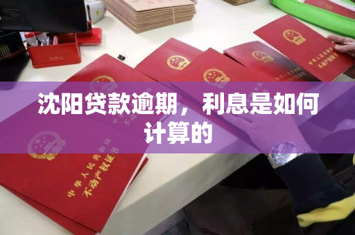 沈阳贷款逾期，利息是如何计算的