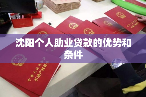 沈阳个人助业贷款的优势和条件