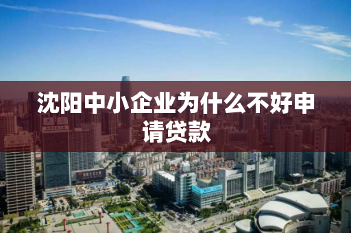 沈阳中小企业为什么不好申请贷款