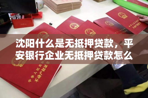 沈阳什么是无抵押贷款，平安银行企业无抵押贷款怎么办理？