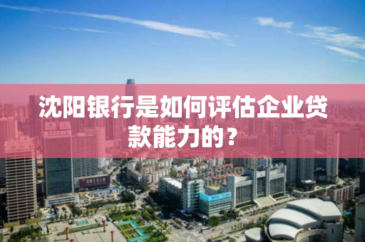 沈阳银行是如何评估企业贷款能力的？