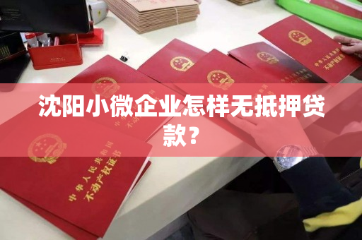 沈阳小微企业怎样无抵押贷款? 沈阳小微企业怎样无抵押贷款?