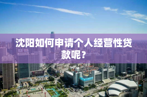 沈阳如何申请个人经营性贷款呢？
