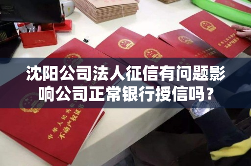 沈阳公司法人征信有问题影响公司正常银行授信吗？