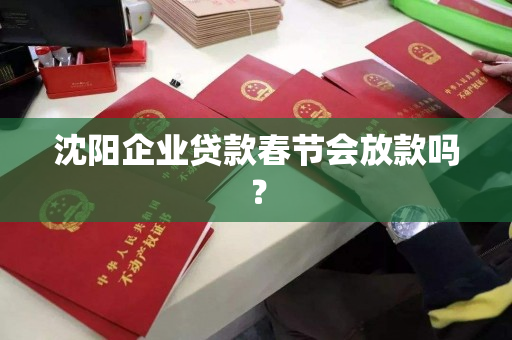 沈阳企业贷款春节会放款吗？