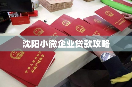 沈阳小微企业贷款攻略