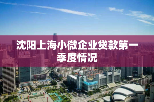 沈阳上海小微企业贷款第一季度情况