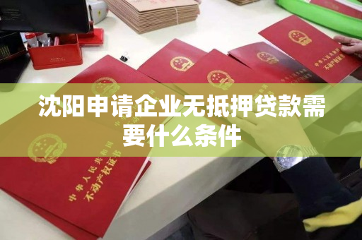 沈阳申请企业无抵押贷款需要什么条件