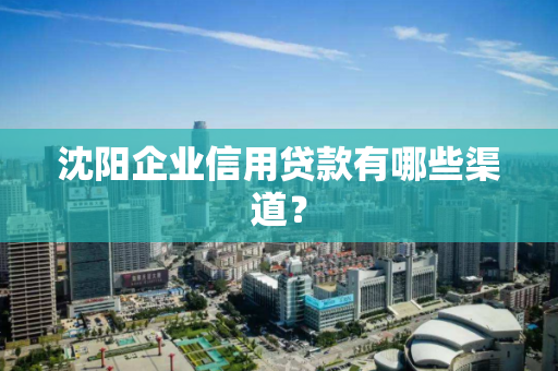沈阳企业信用贷款有哪些渠道？