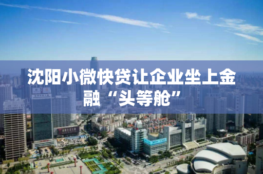 沈阳小微快贷让企业坐上金融“头等舱”
