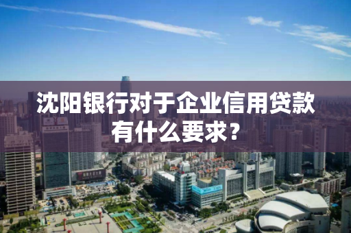 沈阳银行对于企业信用贷款有什么要求？