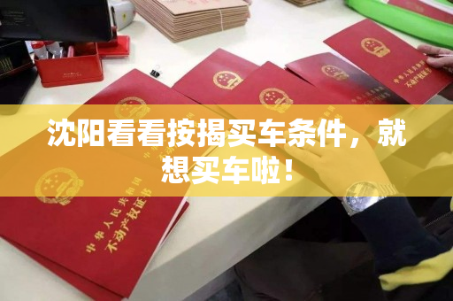 沈阳看看按揭买车条件，就想买车啦！