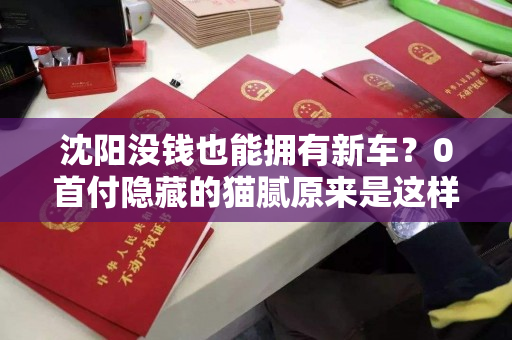 沈阳没钱也能拥有新车？0首付隐藏的猫腻原来是这样！