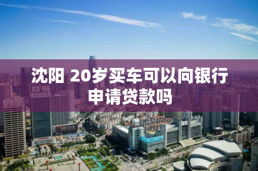 沈阳 20岁买车可以向银行申请贷款吗 沈阳 20岁买车可以向银行申请贷款吗