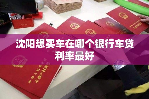 沈阳想买车在哪个银行车贷利率最好