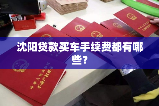 沈阳贷款买车手续费都有哪些？