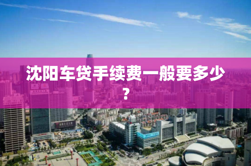 沈阳车贷手续费一般要多少?