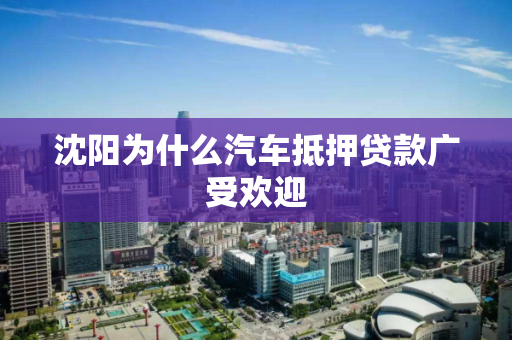 沈阳为什么汽车抵押贷款广受欢迎