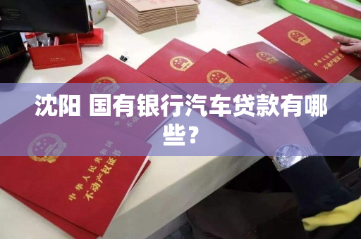 沈阳 国有银行汽车贷款有哪些？