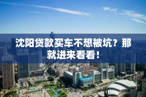 沈阳贷款买车不想被坑？那就进来看看！