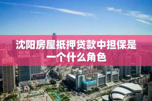 沈阳房屋抵押贷款中担保是一个什么角色 沈阳房屋抵押贷款中担保是一个什么角色