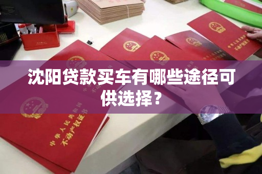沈阳贷款买车有哪些途径可供选择？