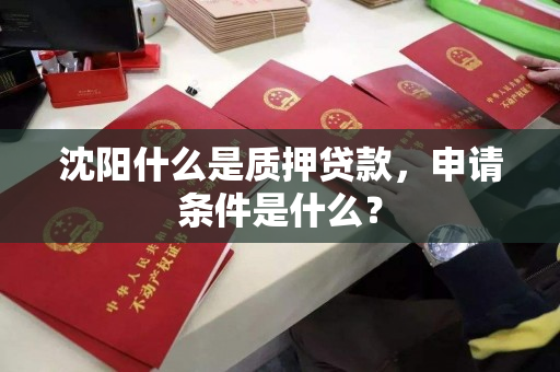 沈阳什么是质押贷款，申请条件是什么？