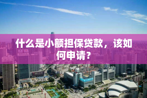 什么是小额担保贷款,该如何申请? 什么是小额担保贷款,该如何申请?