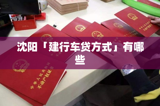 沈阳「建行车贷方式」有哪些
