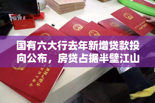国有六大行去年新增贷款投向公布,房贷占据半壁江山! 国有六大行去年新增贷款投向公布,房贷占据半壁江山!