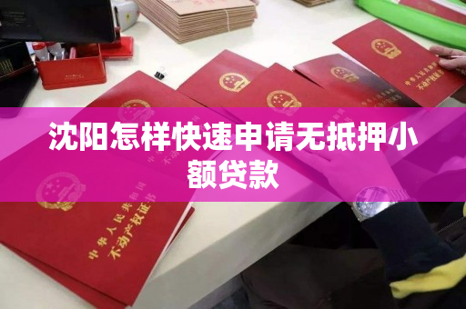 沈阳怎样快速申请无抵押小额贷款