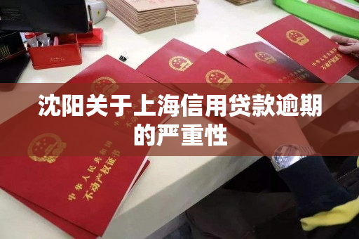 沈阳关于上海信用贷款逾期的严重性