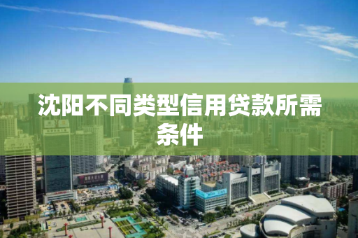 沈阳不同类型信用贷款所需条件