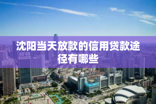 沈阳当天放款的信用贷款途径有哪些