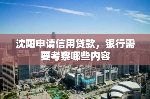 沈阳申请信用贷款,银行需要考察哪些内容 沈阳申请信用贷款,银行需要考察哪些内容