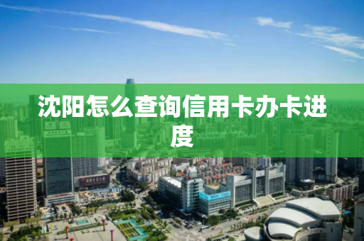 沈阳怎么查询信用卡办卡进度
