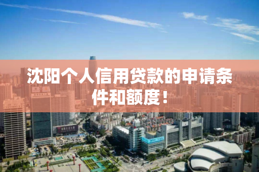 沈阳个人信用贷款的申请条件和额度! 沈阳个人信用贷款的申请条件和额度!