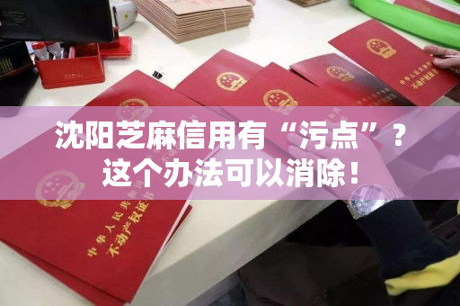 沈阳芝麻信用有“污点”？这个办法可以消除！