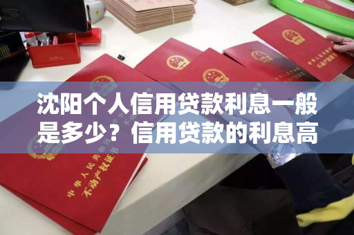 沈阳个人信用贷款利息一般是多少？信用贷款的利息高吗？