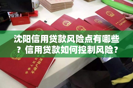 沈阳信用贷款风险点有哪些？信用贷款如何控制风险？