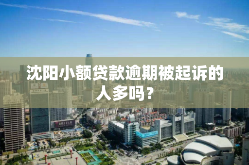 沈阳小额贷款逾期被起诉的人多吗？