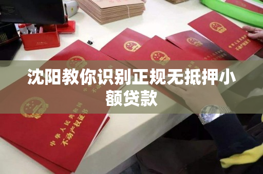 沈阳教你识别正规无抵押小额贷款