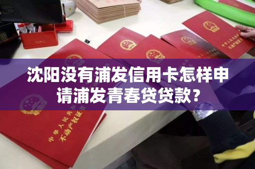 沈阳没有浦发信用卡怎样申请浦发青春贷贷款? 沈阳没有浦发信用卡怎样申请浦发青春贷贷款?