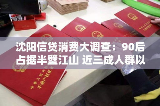 沈阳信贷消费大调查:90后占据半壁江山 近三成人群以贷养贷! 沈阳信贷消费大调查:90后占据半壁江山 近三成人群以贷养贷!