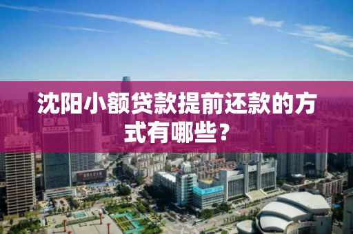 沈阳小额贷款提前还款的方式有哪些？