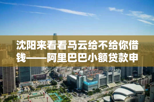 沈阳来看看马云给不给你借钱——阿里巴巴小额贷款申请条件!