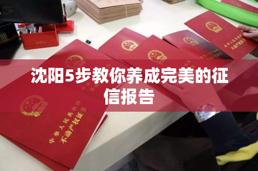 沈阳5步教你养成完美的征信报告 沈阳5步教你养成完美的征信报告